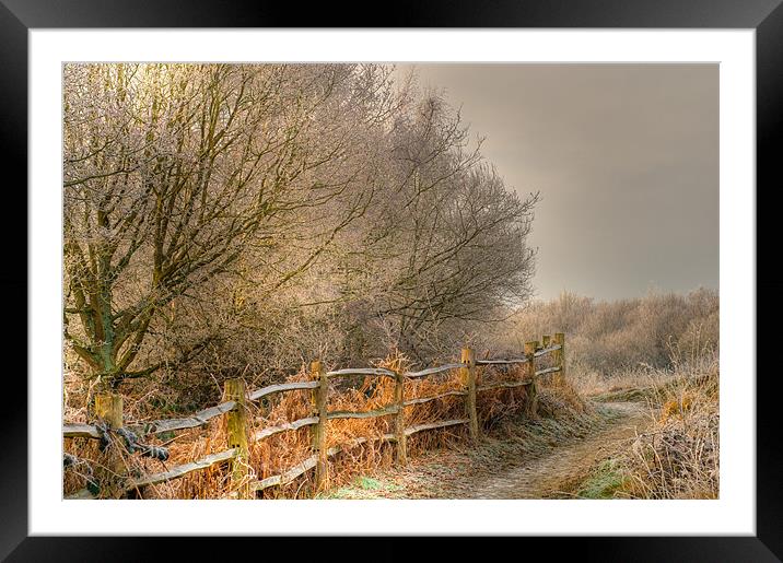 common frost Framed Mounted Print by Eddie Howland