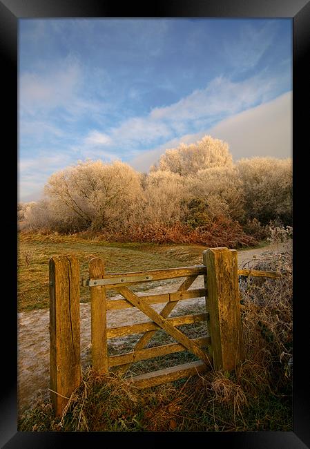 cold view Framed Print by Eddie Howland