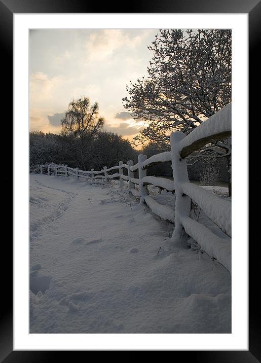 Sunrise at Ditchling Common in the snow Framed Mounted Print by Eddie Howland