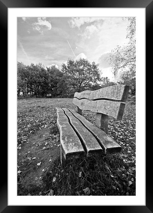 Bench Framed Mounted Print by Eddie Howland