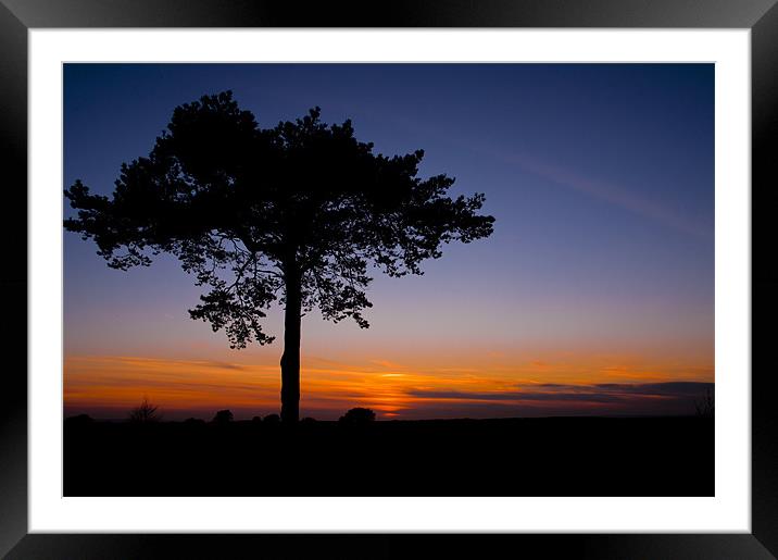 Sunsets over Ashdown Forrest, Sussex Framed Mounted Print by Eddie Howland