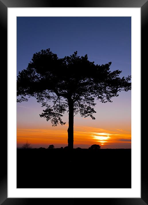 Sunsets over Ashdown Forrest, Sussex Framed Mounted Print by Eddie Howland