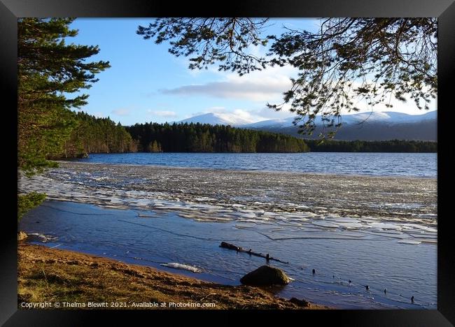 Loch Garten Sun and Ice Framed Print by Thelma Blewitt