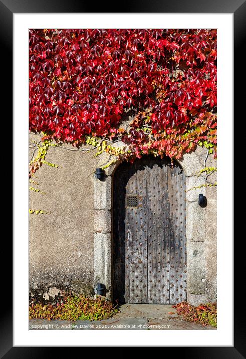 Autumn colours at Crathes Castle, Banchory, Aberde Framed Mounted Print by Andrew Davies