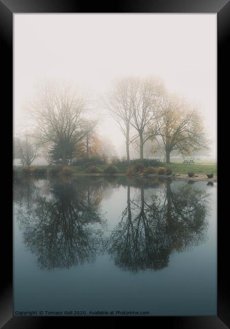 Reflection in the mist Framed Print by Tomasz Goli