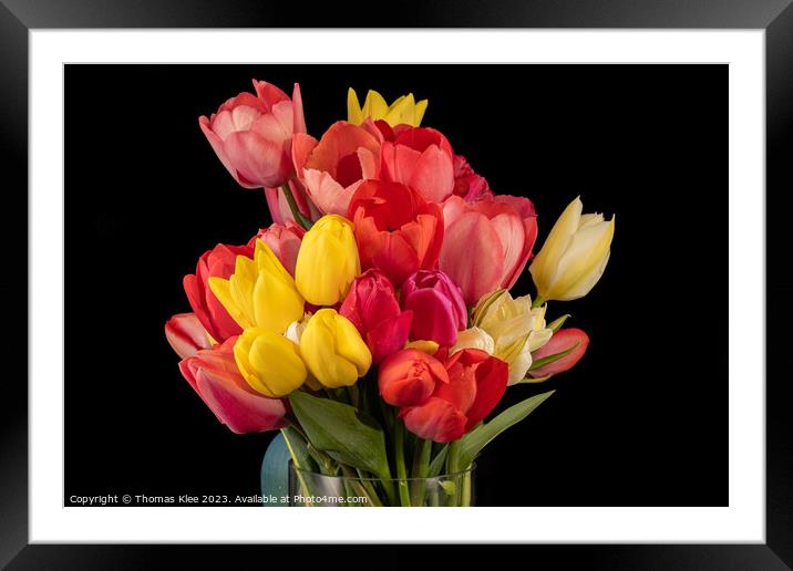 Close-up of a colourful bouquet of fresh tulips Framed Mounted Print by Thomas Klee
