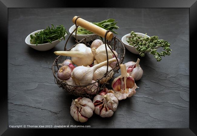 Still life, Garlic in a basket and fresh herbs on a slate plate Framed Print by Thomas Klee