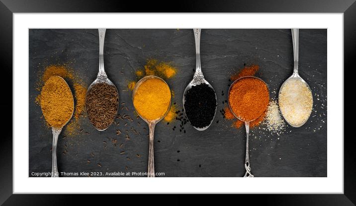 Fine spices on spoons in a row Framed Mounted Print by Thomas Klee
