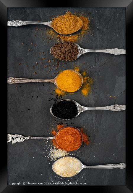 Selection of spices on metal spoons Framed Print by Thomas Klee