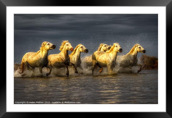 Wild White Horses water dark golden Framed Mounted Print by Helkoryo Photography