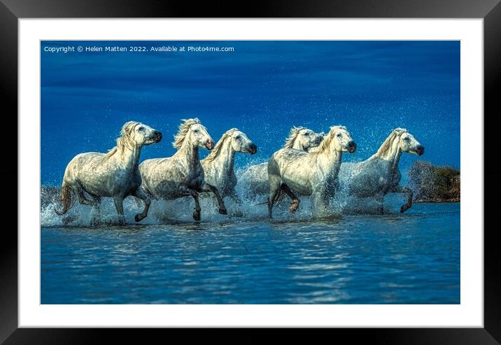 Wild White Horses Water Blue Framed Mounted Print by Helkoryo Photography