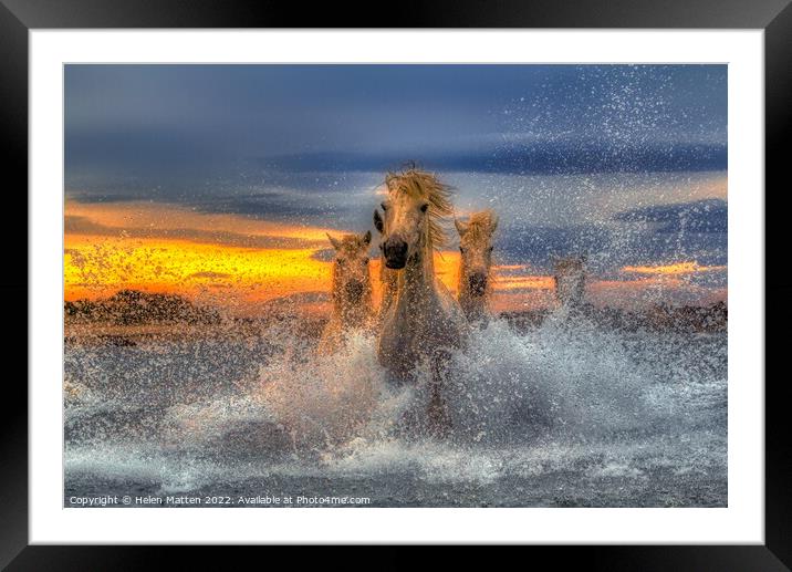 Majestic Camargue Horses in the Sea Dark Sunset Framed Mounted Print by Helkoryo Photography