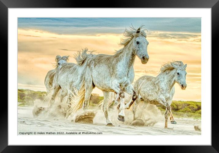 A group of wild Camargue Horses in the Sand Framed Mounted Print by Helkoryo Photography