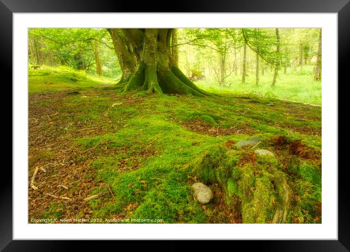 Enchanting Faerie Haven Framed Mounted Print by Helkoryo Photography
