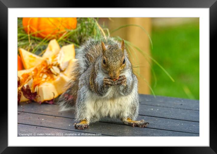 Enchanting Halloween Squirrel Framed Mounted Print by Helkoryo Photography
