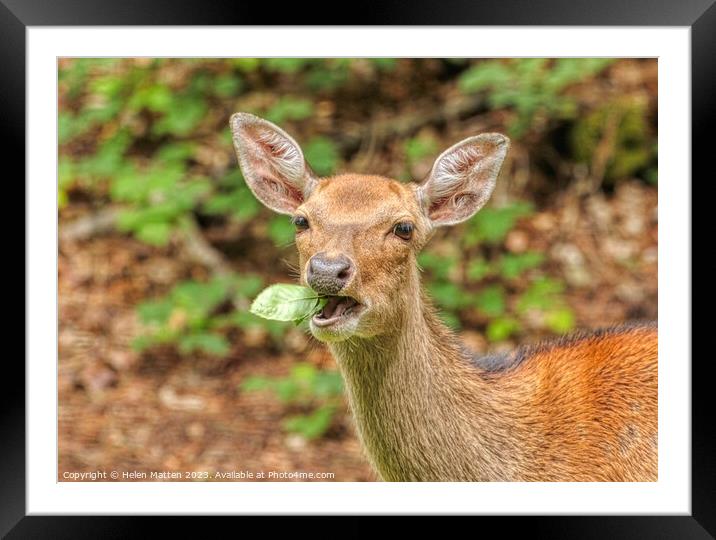 Don't talk with your Mouthful Framed Mounted Print by Helkoryo Photography