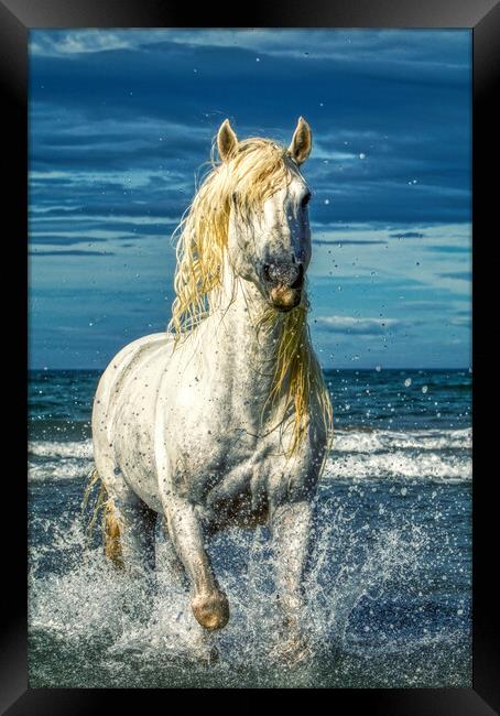 A white stallion stood in the sea with splashes Framed Print by Helkoryo Photography