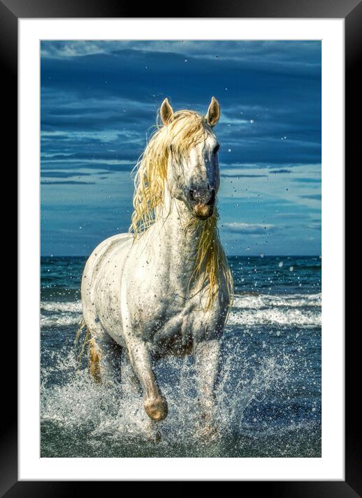 A white stallion stood in the sea with splashes Framed Mounted Print by Helkoryo Photography
