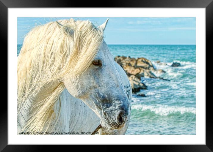 A Camargue Stallion by the Sea Framed Mounted Print by Helkoryo Photography