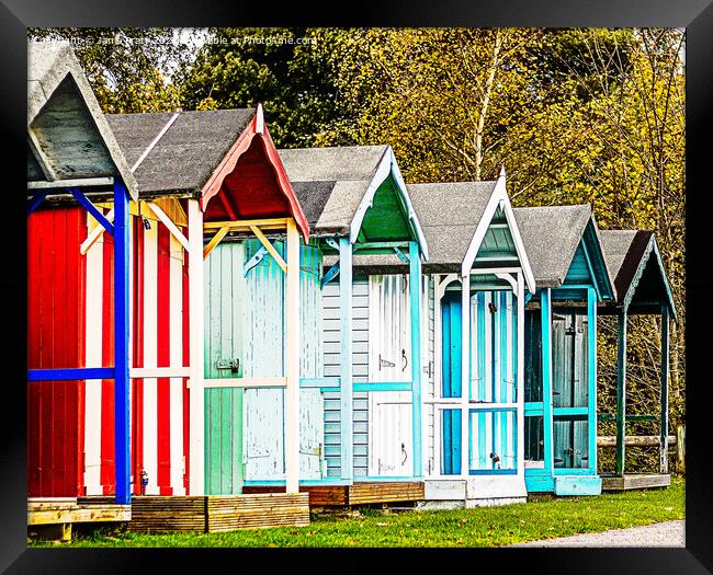 Beachhut Framed Print by Janie Pratt