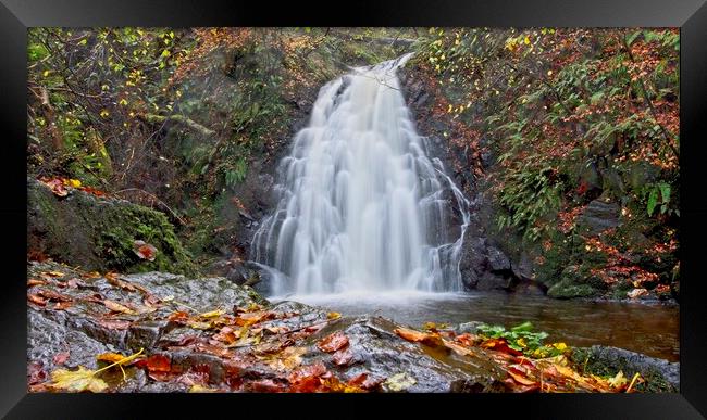 Autumn Framed Print by Cecil Owens