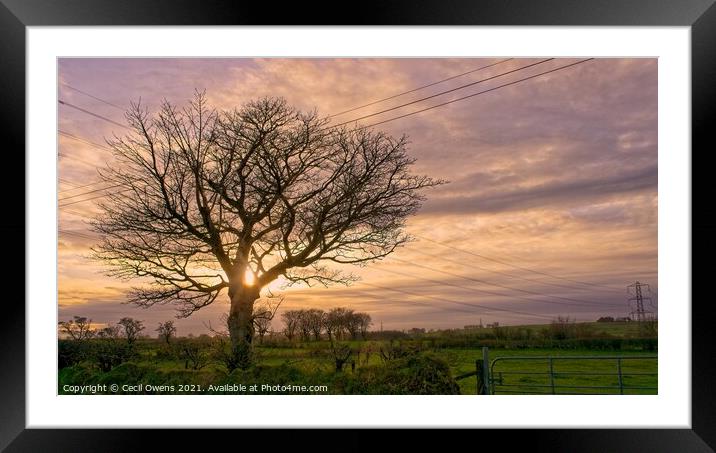 Sunset tree Framed Mounted Print by Cecil Owens