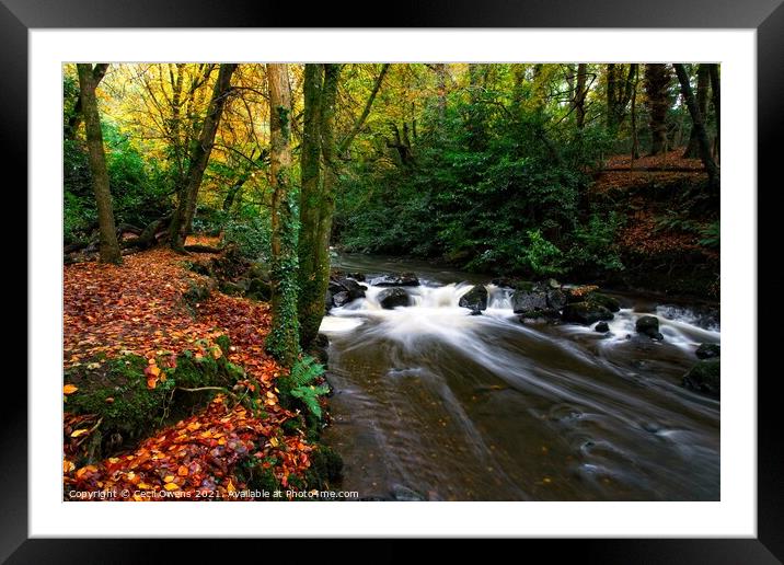 Autumn Framed Mounted Print by Cecil Owens