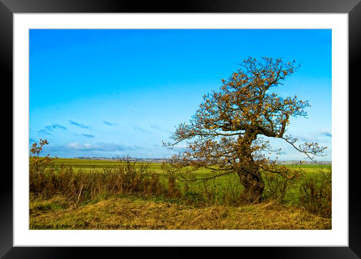 Country landscape at Hullbridge, Essex Framed Mounted Print by Peter Bolton