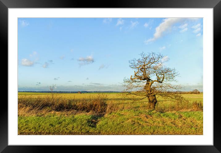 Country hedgerow at Hullbridge, Essex, UK. Framed Mounted Print by Peter Bolton