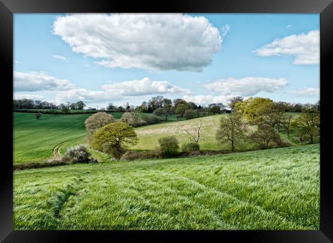 Fields in summer at Downham, Essex, UK. Framed Print by Peter Bolton