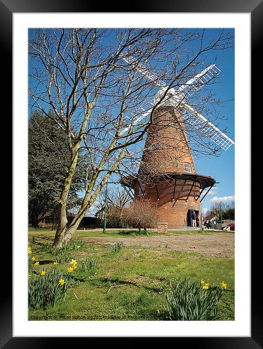 Rayleigh Mill, Essex, UK.  Framed Mounted Print by Peter Bolton