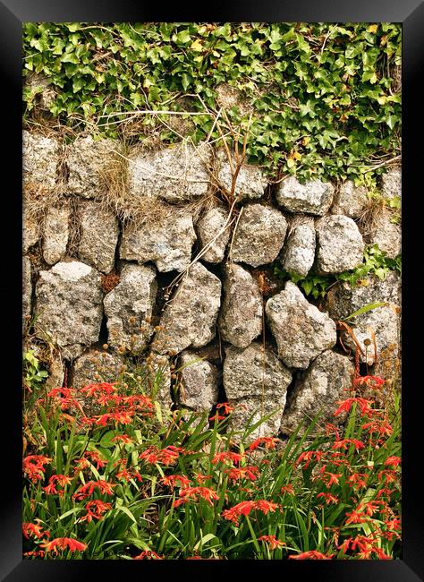 Dry stone wall at Lands End in Cornwall, UK. Framed Print by Peter Bolton