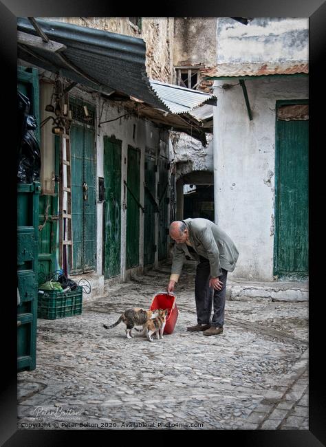 'Cat man of Tetoun'. Morocco. Framed Print by Peter Bolton