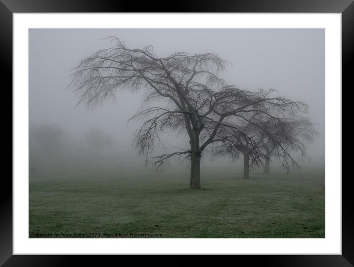 Trees in the mist at Thorpe Bay, Essex, UK. Framed Mounted Print by Peter Bolton