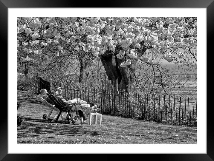 Couple chilling out on recliners on the slopes at Westcliff on Sea, Essex. Framed Mounted Print by Peter Bolton