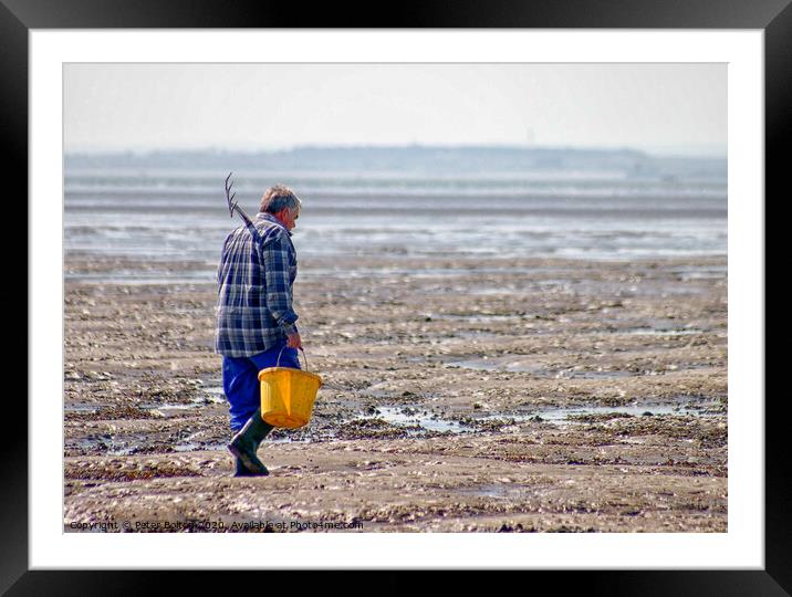 'The bait digger', Thorpe Bay, Essex, UK.  Framed Mounted Print by Peter Bolton