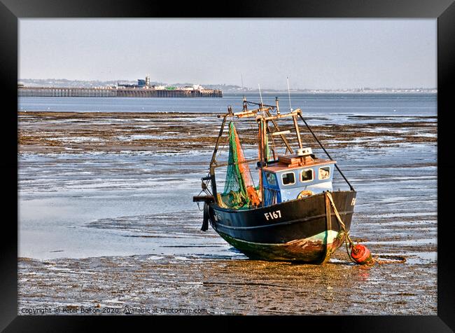 Fishing boat and Southend on Sea Pier, Essex, UK. Framed Print by Peter Bolton