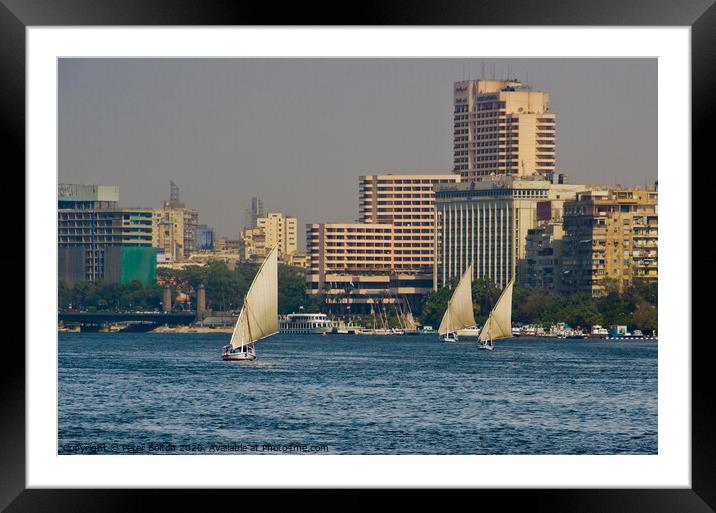 Arab Dhow sailing vessels on the River Nile, Cairo, Egypt. Framed Mounted Print by Peter Bolton