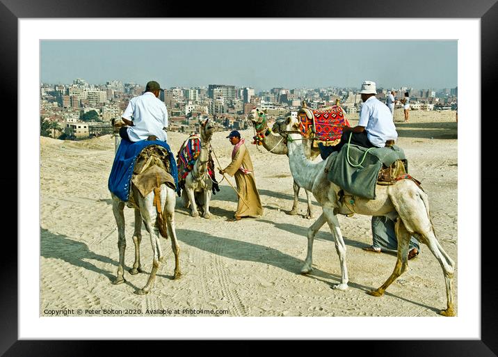 Camel drivers at the Giza plateau, Egypt. Framed Mounted Print by Peter Bolton