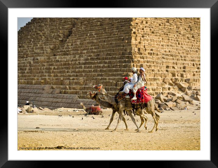 Pyramid of Menkaure with passing camels, Giza, Egypt. Framed Mounted Print by Peter Bolton