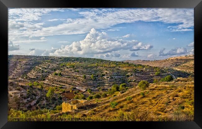 West Bank landscape, Israel. Framed Print by Peter Bolton