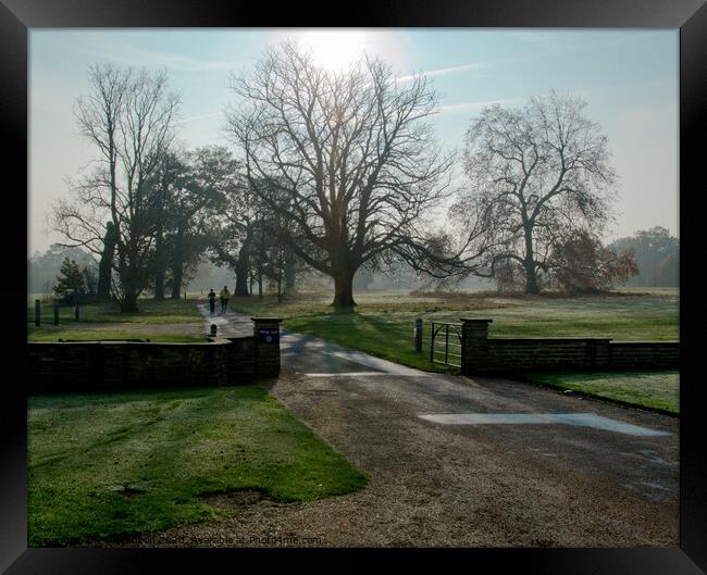 Early morning runners at Hylands Park, Chelmsford, Essex, UK. Framed Print by Peter Bolton