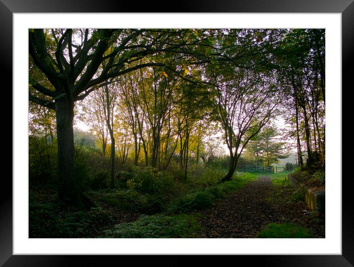 Evening sun behind an English copse at Shoeburyness, Essex, UK. Framed Mounted Print by Peter Bolton