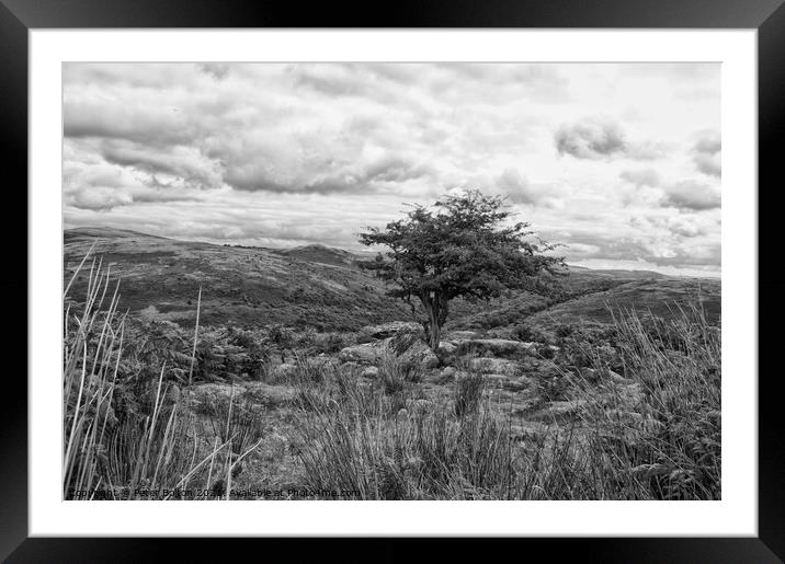 Dartmoor, Devon, in black and white. Framed Mounted Print by Peter Bolton