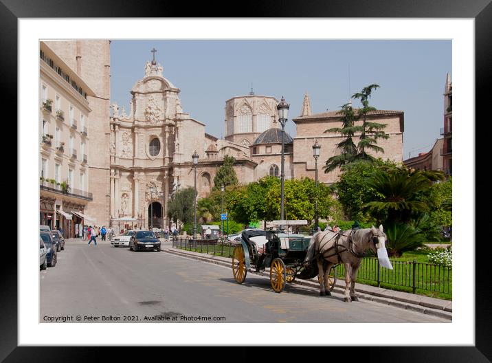 A horse drawn carriage in Malaga, Spain. Framed Mounted Print by Peter Bolton