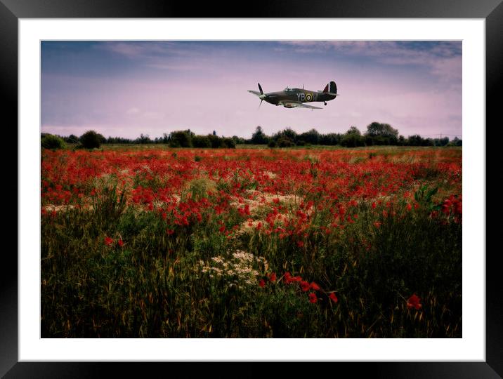 Hawker Hurricane flying low over a field of poppies at dusk. Digital art. Framed Mounted Print by Peter Bolton