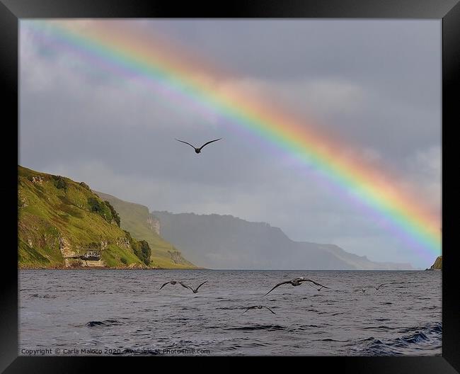 Rainbow Over The Isle Of Skye Framed Print by Carla Maloco