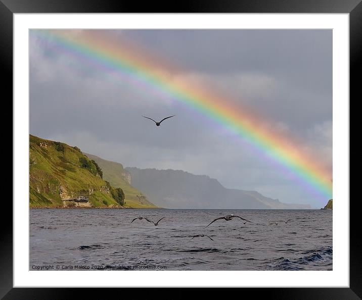Rainbow Over The Isle Of Skye Framed Mounted Print by Carla Maloco