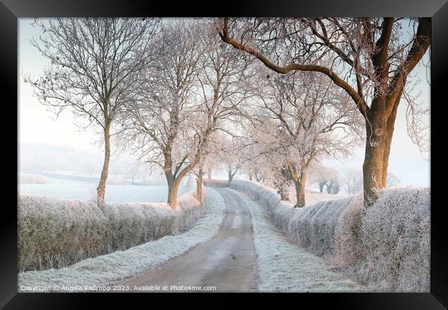 Quiet country lane in the frost Framed Print by Angela Redrupp