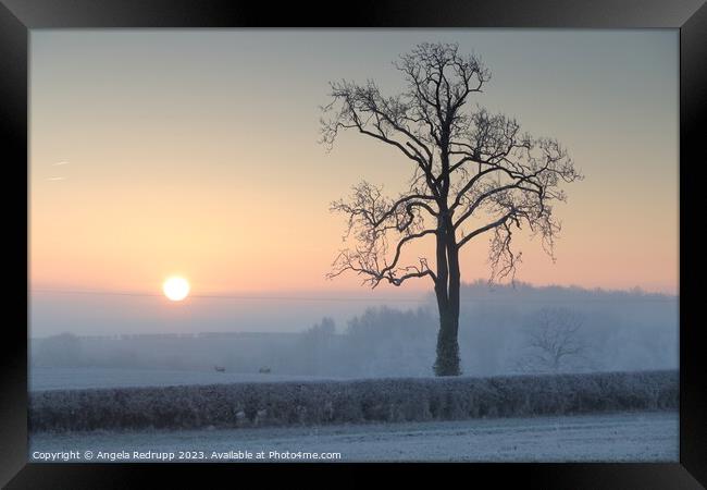 Misty, frosty sunrise Framed Print by Angela Redrupp